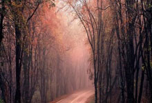 家中哪个方位影响事业运？如何催旺？