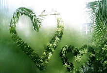 家中哪个方位影响事业运？如何催旺？